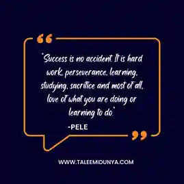 Success is no accident.